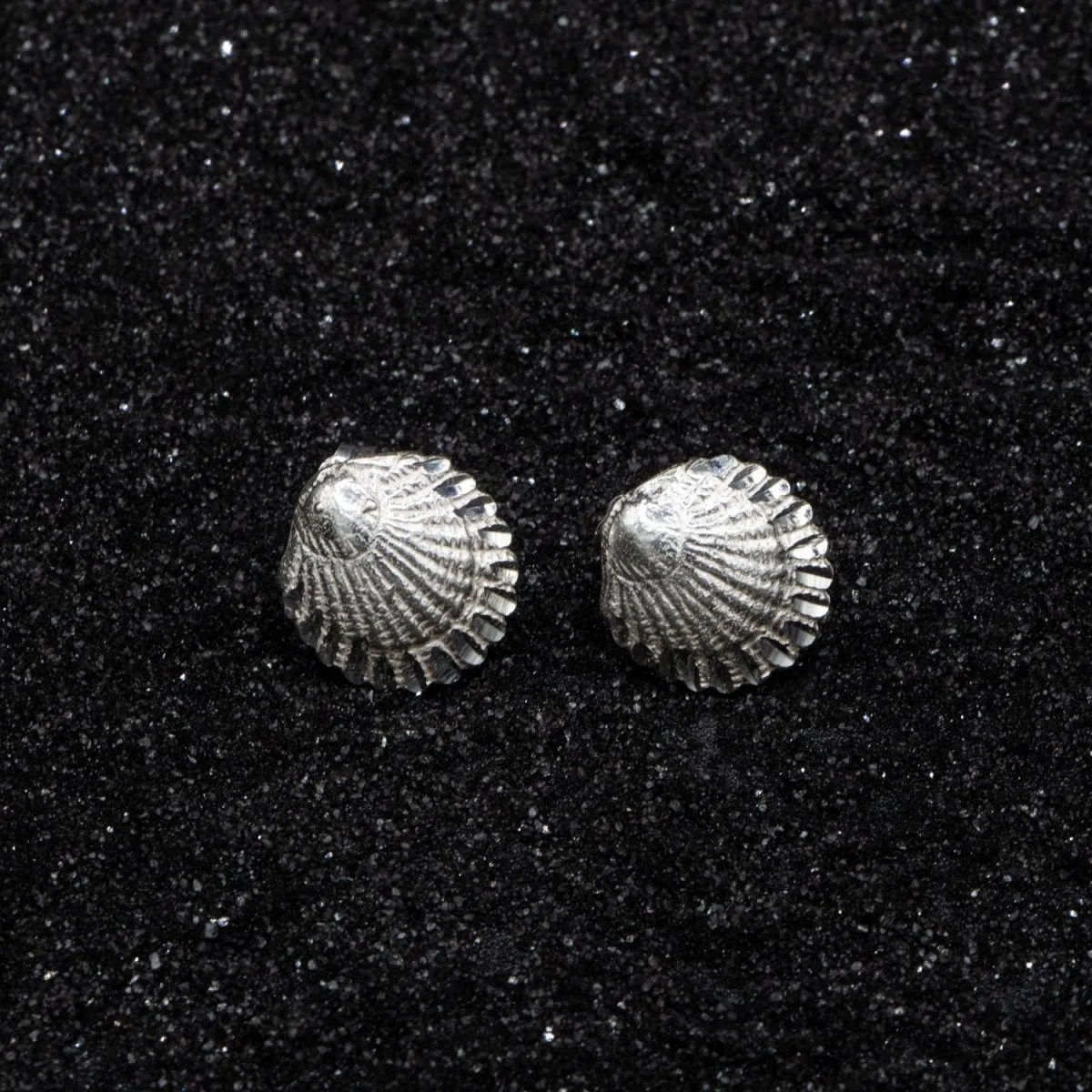 Large Clam Stopper Stud Earring