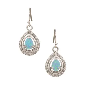 River Lights on Ice Teardrop Earrings ER2536