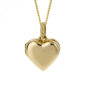 Stippled Bale Heart 9ct Yellow Gold Locket GP1013